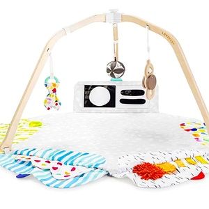 Lovevery “The Play Gym”